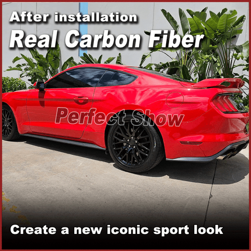 Carbon Seitenschweller Ansatz Cup Leisten Passt für Ford Mustang GT Mk6 2015-22 - Bild 3 von 10