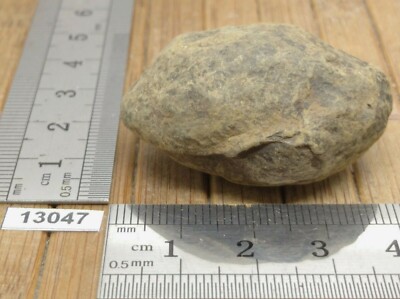 SEPTARIA Natural Lithotherapy Raw Nodule Collection Deco Minerals Reiki