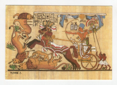 Postcard Egypt Tutankhamun Hunting The Lion 18th Dyn Unposted