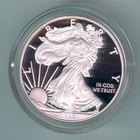 2013-W U.S. SILVER AMERICAN EAGLE - KM#273 - ORIG. MINT BOX, CASE & COA - PROOF