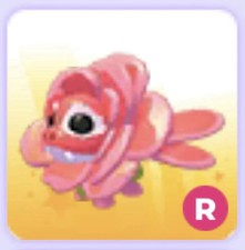 Ride R Rose Dragon   Cheap