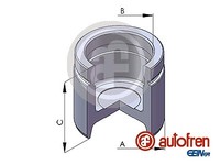 Autofren Seinsa D02563 Kolben, Bremssattel Vorderachse FÜR Audi Fiat Ford Mazda