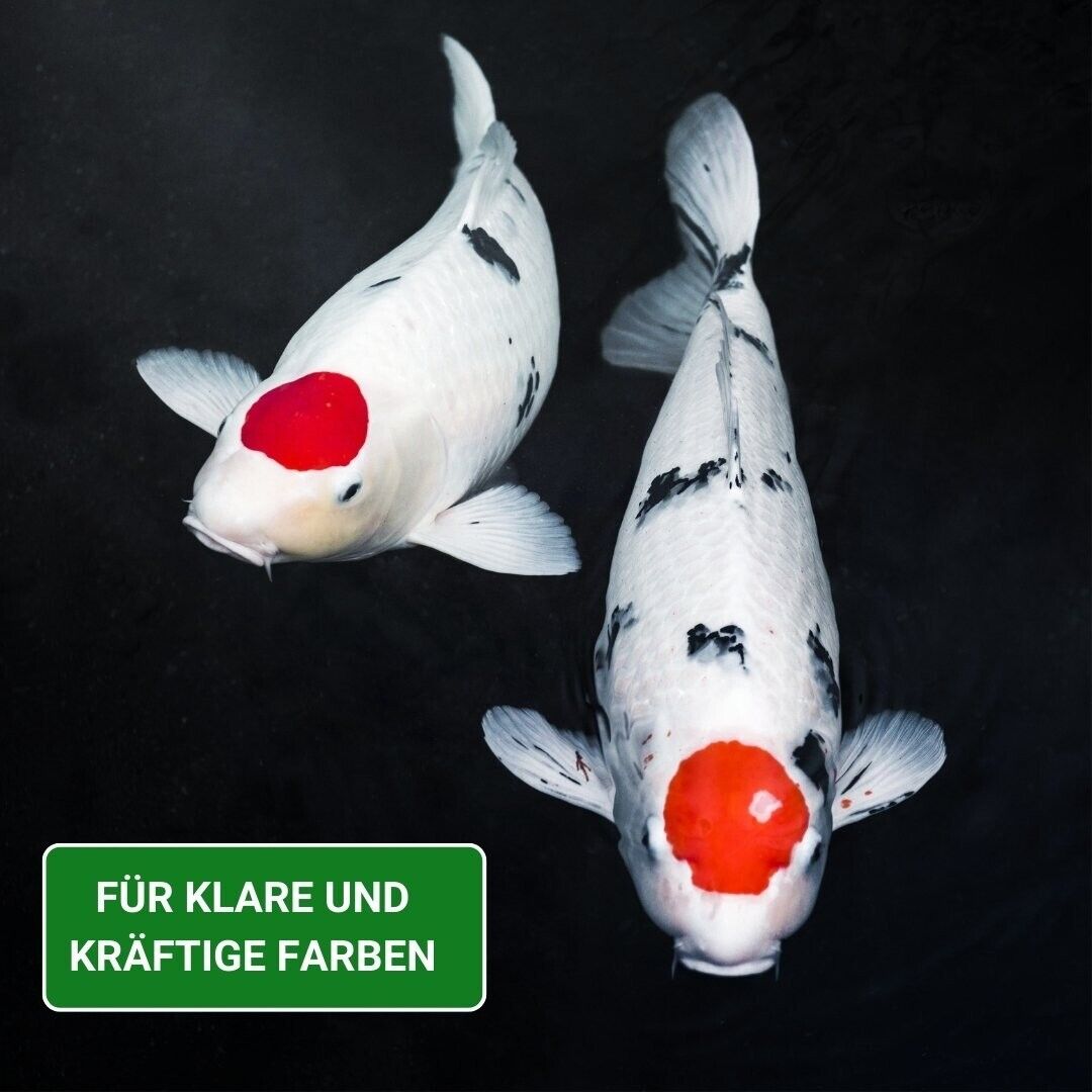 Bild 3 von 10