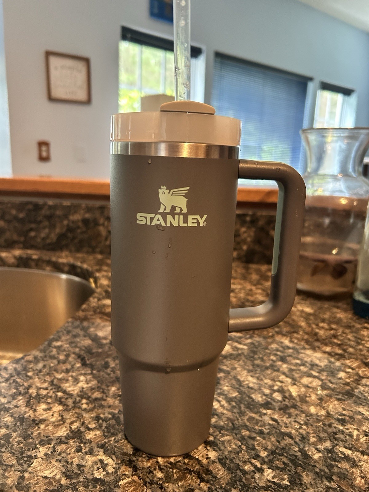 Stanley Leakproof Travel Mug with Straw and Handle in Matte Finish