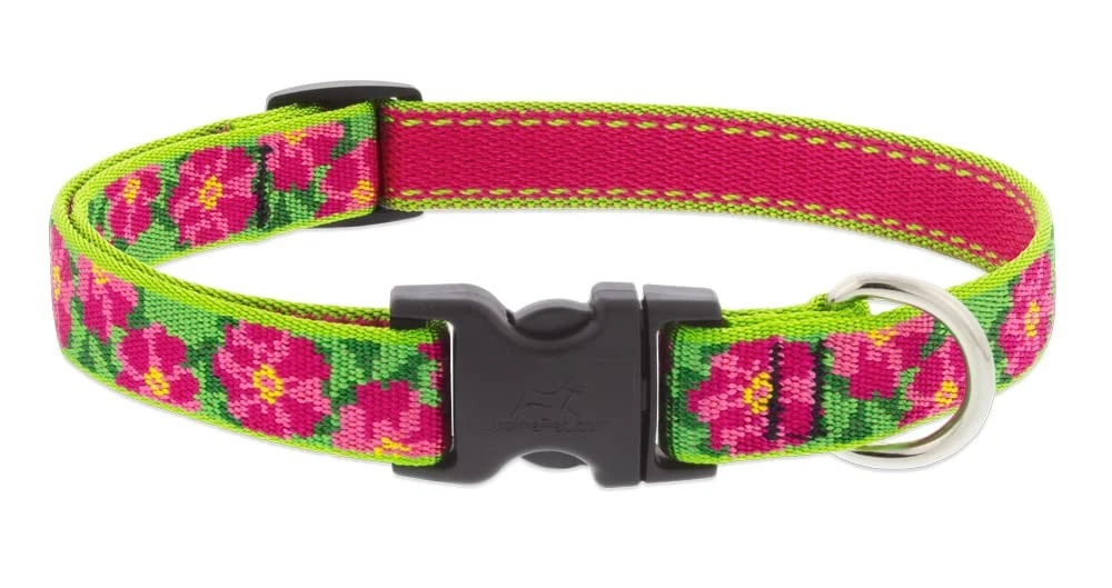 Lupine Small Dog Collar 3/4" Wide Petunias Design Adjusts from 9" to 14"