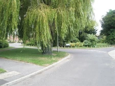 Photo 6x4 Approaching the junction of Northney Road and Spinnaker Grange  c2009