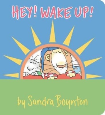 HEY WAKE UP by Sandra Boynton Hardback Self Help Business