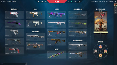 Valorant Account | Platin 3 | EU | lvl. 261 | Skinwert 1600 