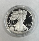 2007-W Proof Silver American Eagle with Capsule only No Box or COA VALUE PRICED