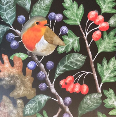 Weihnachtskarte Robin & Frosty Berries ~ Einzelkarte 13 cm