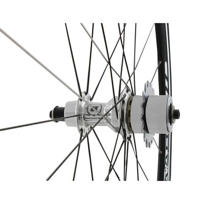 mtb front schutzblech TOPEAK Defender XC1 Fahrrad Mountain Bike Spritzschutz Vorderrad 36-45mm, 15200062 Sport & Freizeit Farbe:Schweißrot How to Translate Any Green Day Dookie