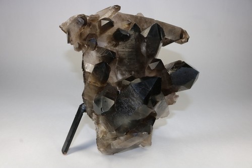 Huge Smoky Quartz Crystal Cluster Points 6+ Lbs! US Seller! Free Ship! - Picture 8 of 11