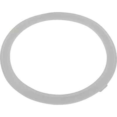 Waterway Plastics Poly Jet Wall Fitting Gasket 711-1750