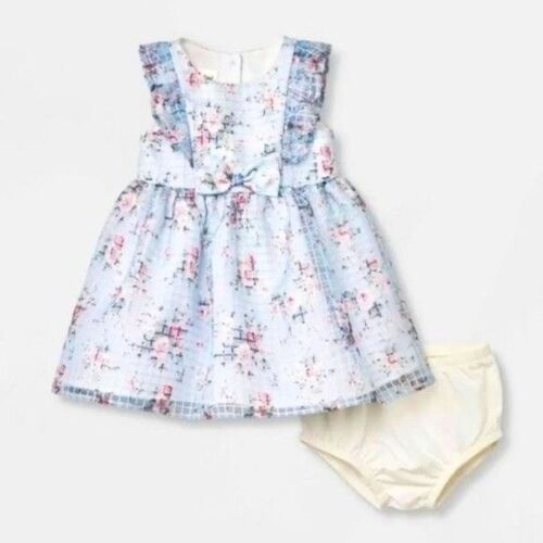 Mia & Mimi Baby Girls Dress 24m Floral Organza 2pc Blue