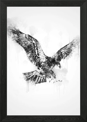 Adler schwarz-weiß gerahmtes Wandbild Poster Leinwanddruck Bild