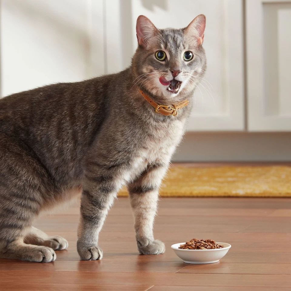 Paquete de variedad de aves de corral y carne de res favoritos, comida húmeda para gatos, taza de 2,75 oz (paquete de 12) Foto 3 de 4