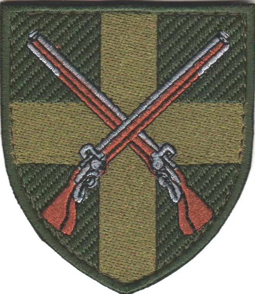 Patches of Various Ukrainian Army Units (Chevrons) 2014-2026