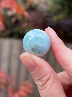 Larimar Kugel Deep Blue Delphin Stein AAA+: Ozean wie 17 23 mm
