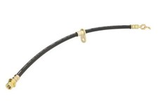 Flexible de frein Toyota RAV4 II