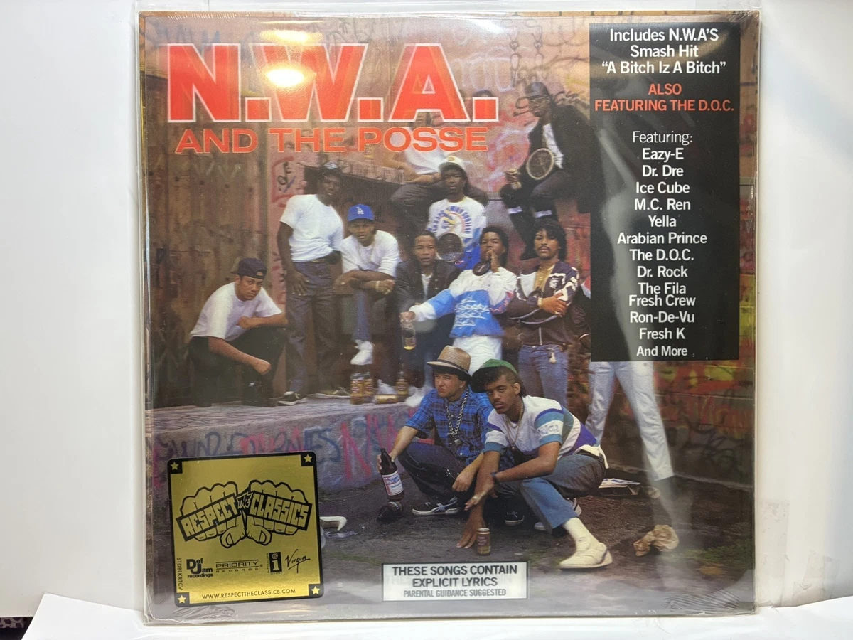Ice Cube LP Vinyl Records for sale | eBay