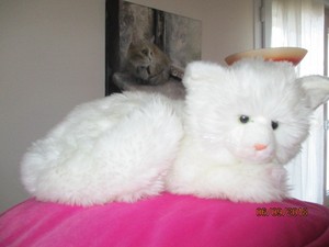 Détails Sur Doudou Peluche Chat Blanc Gipsy Allongé 35cm