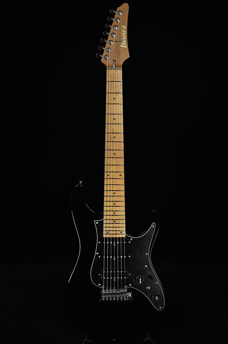 Ibanez 7 string guitar case deals
