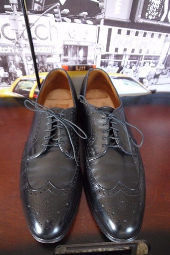 Allen Edmonds Concord Wingtip Brogue 