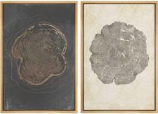 Best SIGNWIN Framed Canvas Print Wall Art Set Pastel Grunge Forest Tree Rings