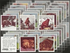 GRANOSE-FULL SET- TIPPYTAIL THE GRIZZLY BEAR 1956 (M48 CARDS) EXCELLENT+++