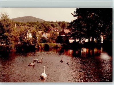40100785 - 4938 Schieder Schan Family