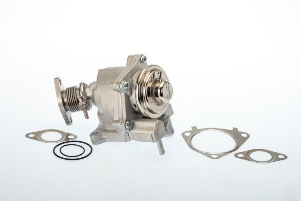 BorgWarner (Wahler) 7631D Agr-Ventil FüR CitroËN Passend FüR Fiat-image