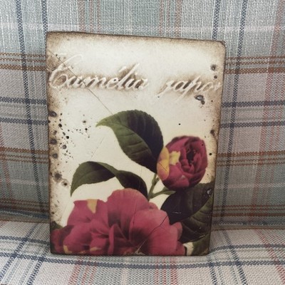 Sid Dickens - T219 - Camelia - Released 2009 - Retired 2010.