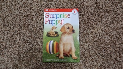 DK Readers: Surprise Puppy (Level 1: Beginning to Read) (DK READERS LEVEL 1)