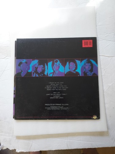 Vinyl Record LP Survivor Caught in the Game VG - Picture 2 of 8
