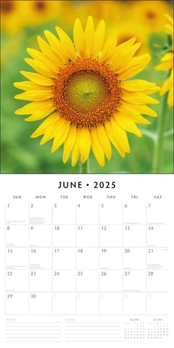 Sunflowers 2025 Square Wall Calendar