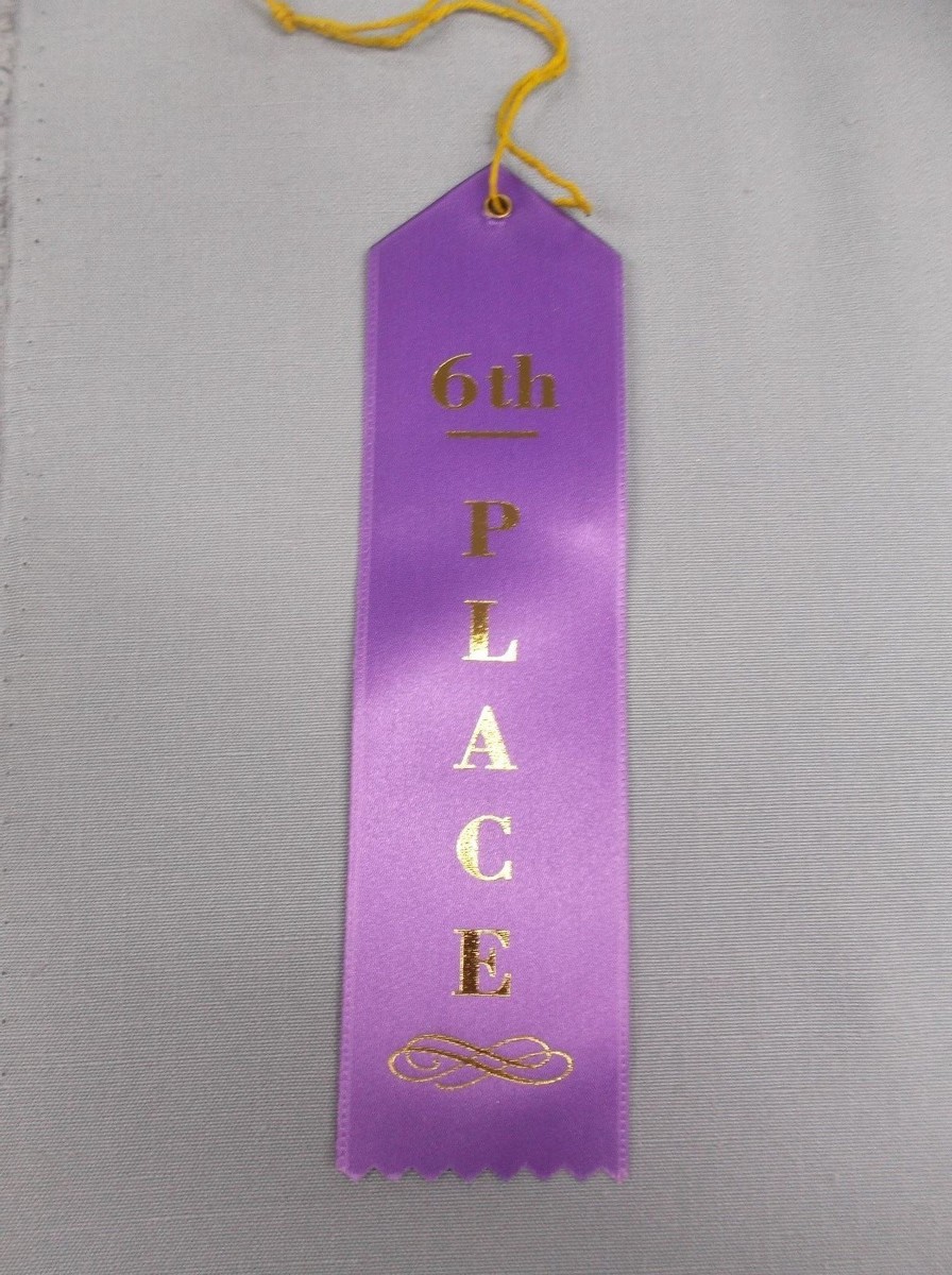6th Place Ribbon Quick Ship Horse Show Rosette Ribbons 1st 6th Place