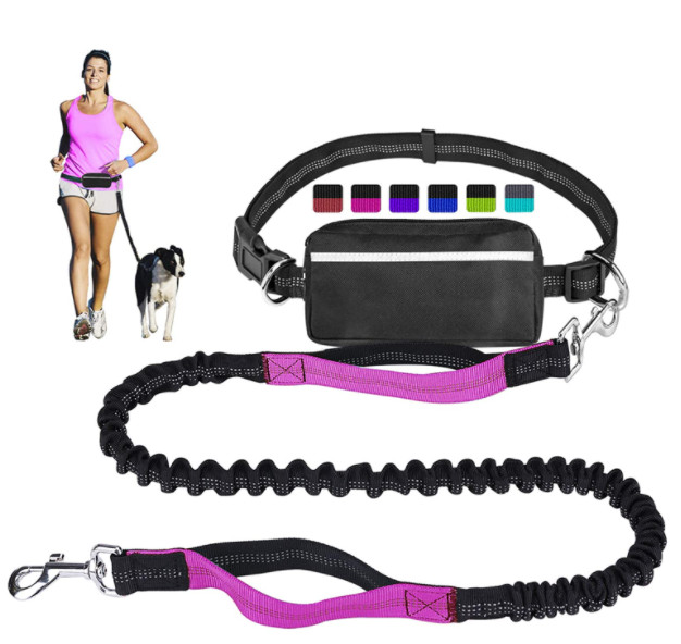 LANNEY Hands Free Dog Lead for Running Walking Training Hiking, Dual-Handle