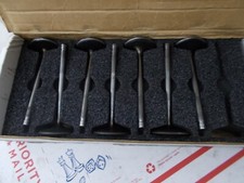 Titanium Intake Valves