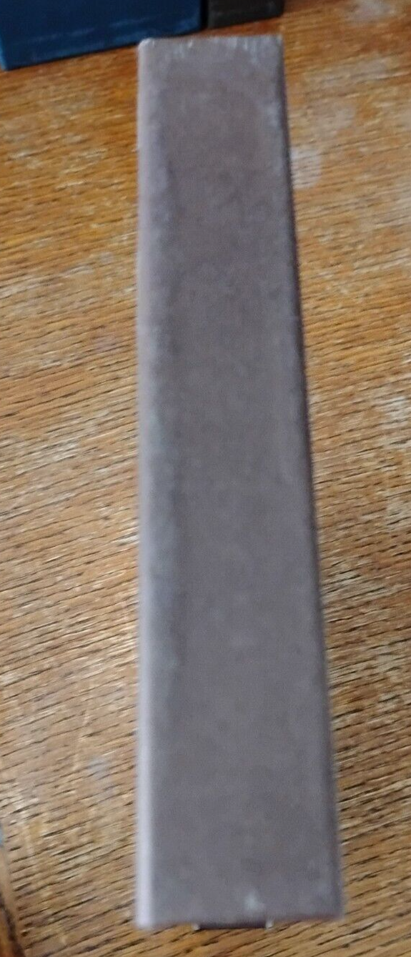 Picture 5 of 19