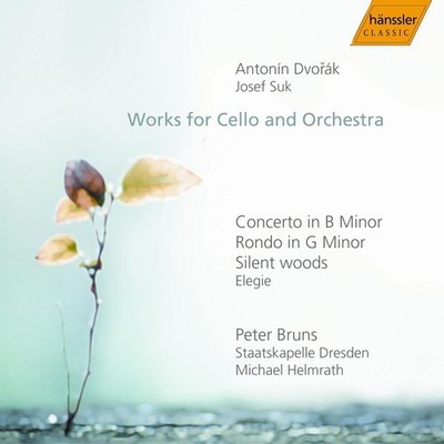 Dvorak / Suk / Bruns - Peter Bruns Plays Dvorak & Suk [New CD]