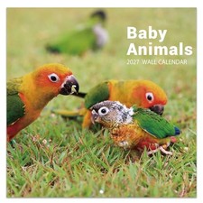 2027 Wall Calendar - 12"x24" Open , JAN 2027 - DEC 2027