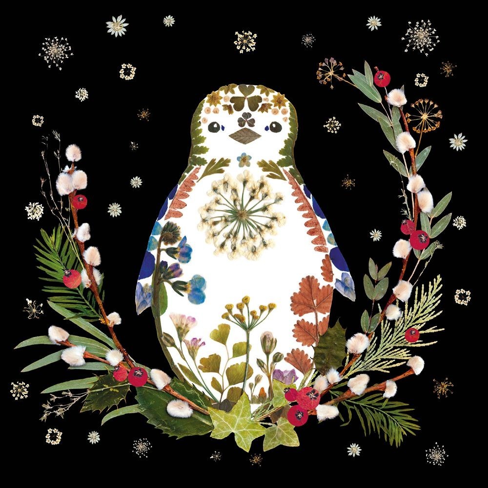 Winter Wild Press Little Penguin by Helen Ahpornsiri Pack of 8 Christmas Cards