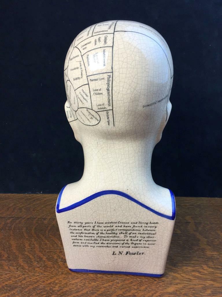 THE PHRENOLOGY オブジェ　サイズ L Phrenology Head Statue Map of Brain Porcelain Sculpture