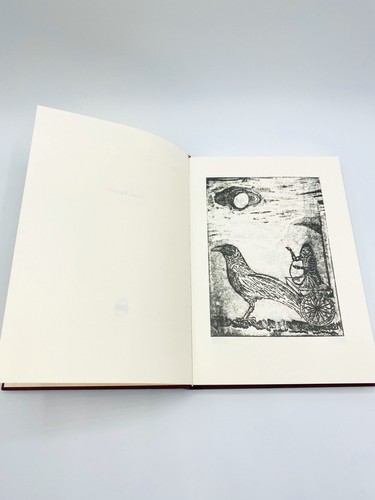 RARE- Cave Of The Numinous Craig Williams Hardcover Book 1st Edition 2014 - Foto 7 di 9