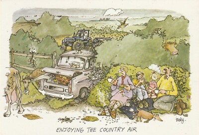 ENJOYING THE COUNTRY AIR, Humor - Vintage POSTKARTE