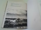 Foto 12 di 12