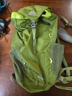 Gregory Nano 16 Backpack Green