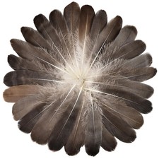120Pcs Natural Gray Goose Feathers 6-8 Inch 15-20Cm Decorative Goose Nagoire Fea