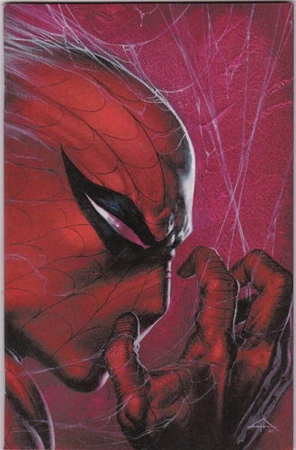 Amazing Spider-Man #800 Del Otto Virgin Variant Green Goblin NM Ltd 1000 copies.