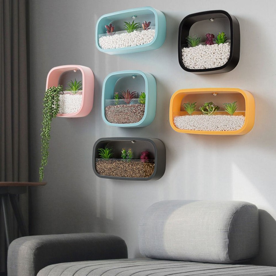 Plastic Wall Hanging Flowerpot Sqaure Succulent Planter eBay